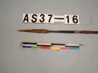 藏品(單鏃竹箭)的圖片